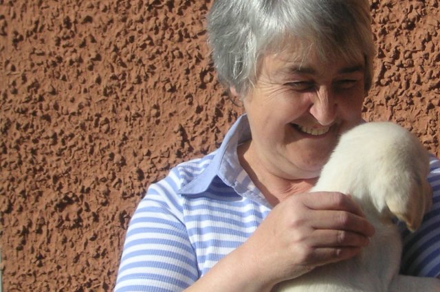 KONICA MINOLTA DIGITAL CAMERA