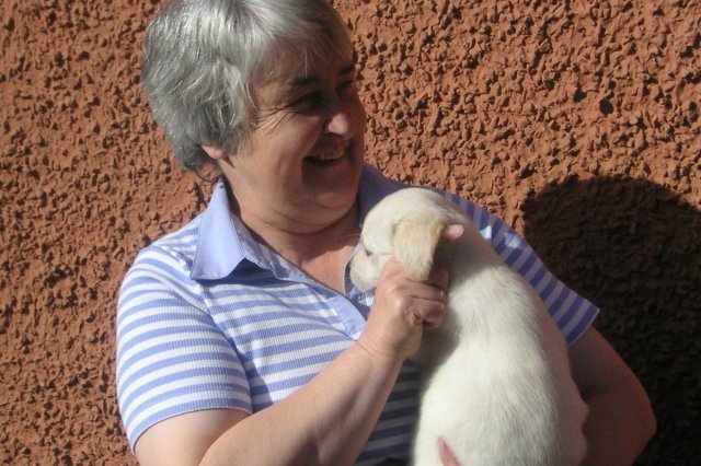 KONICA MINOLTA DIGITAL CAMERA