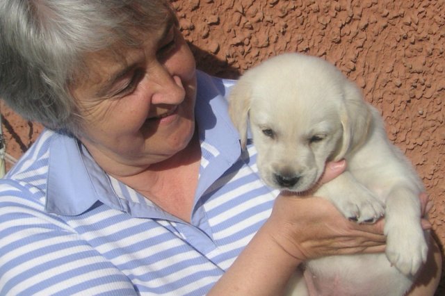 KONICA MINOLTA DIGITAL CAMERA